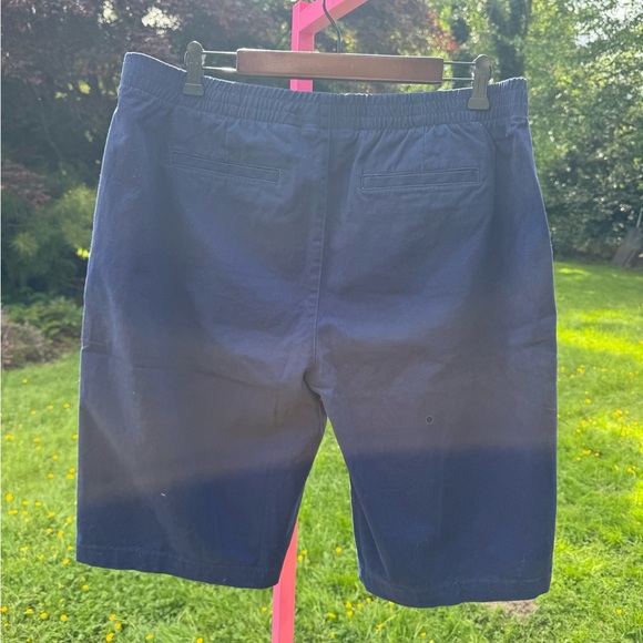 Lands' End Blue Flat Front Shorts - Picture 3 of 4
